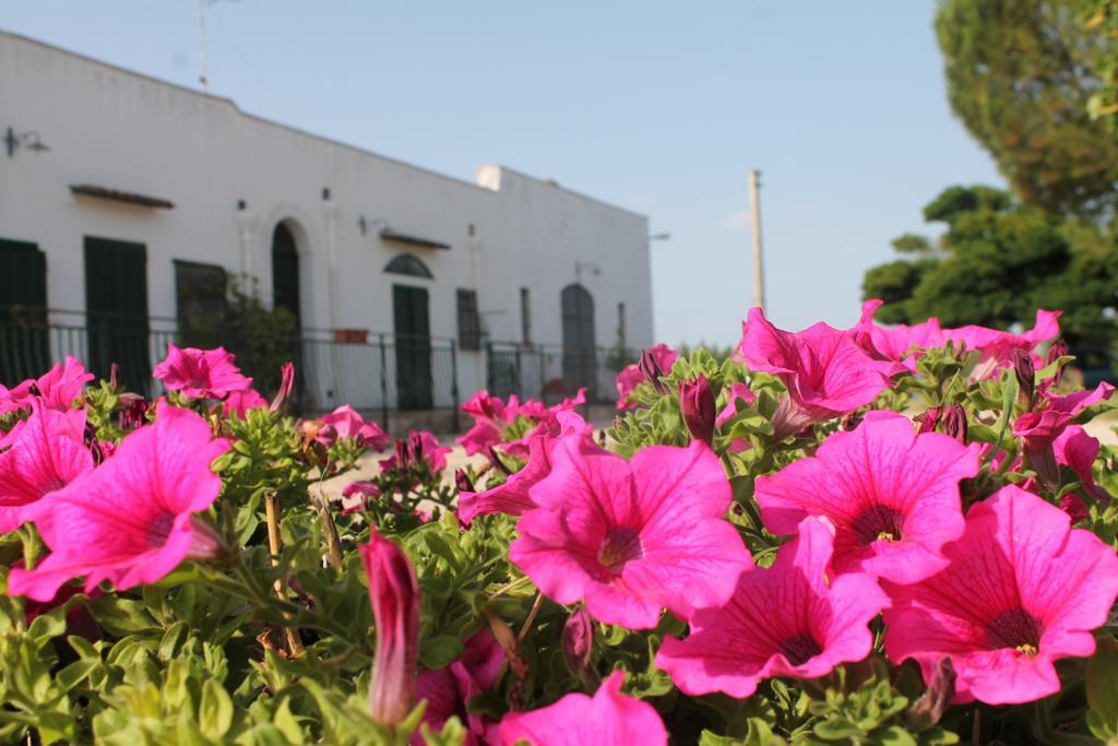 B&B Masseria Cappotto Laterza Exterior photo