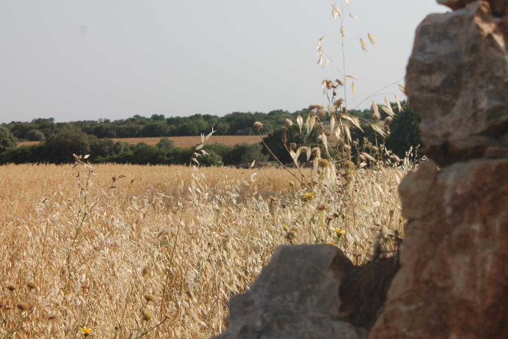 B&B Masseria Cappotto Laterza Exterior photo